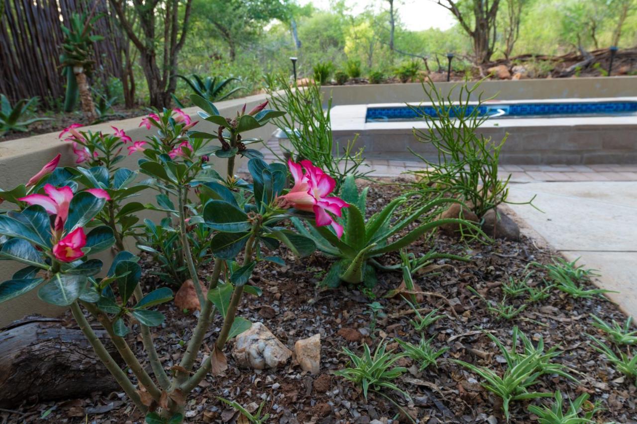 Bee-Eater Cottage Hoedspruit Exterior photo